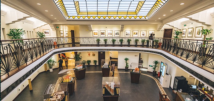 展覽展示